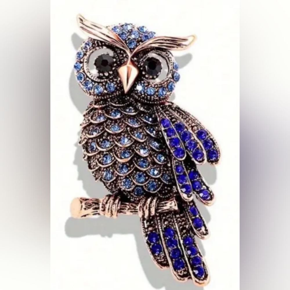 NEW holiday Y3K party Western Blue Boho Farmhouse Rhinestone Silver Owl Brooch